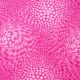 Brontosaurus: Spots'n swirls-Pink