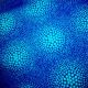 Pterodactyl: Spots'n swirls blue
